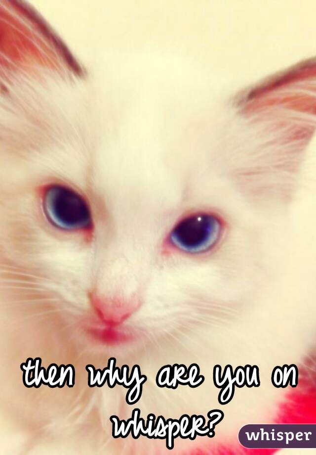 then why are you on whisper?