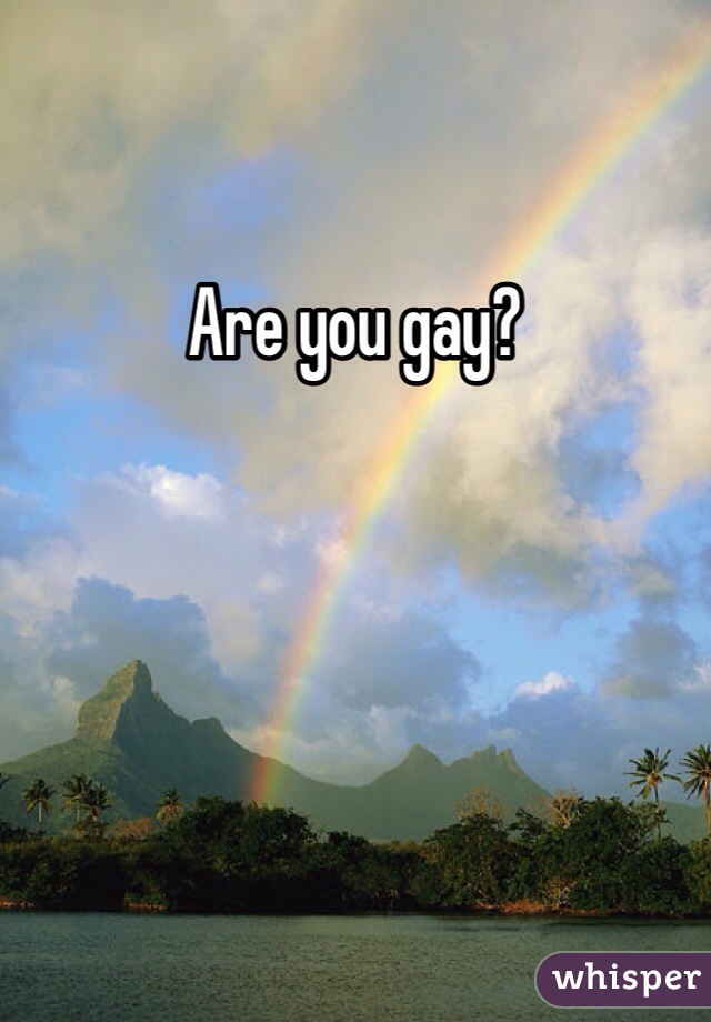 Are you gay?  