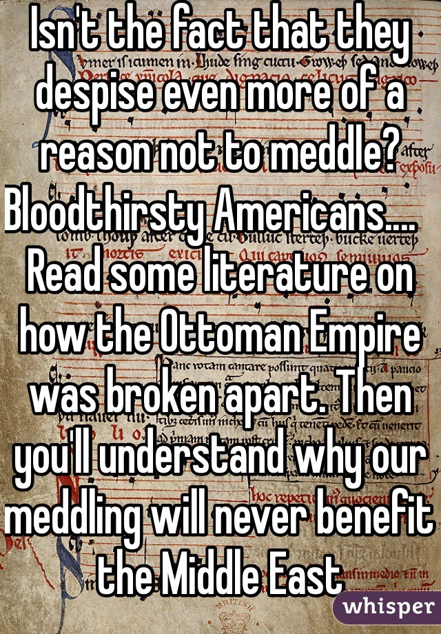 Isn't the fact that they despise even more of a reason not to meddle? Bloodthirsty Americans....   Read some literature on how the Ottoman Empire was broken apart. Then you'll understand why our meddling will never benefit the Middle East