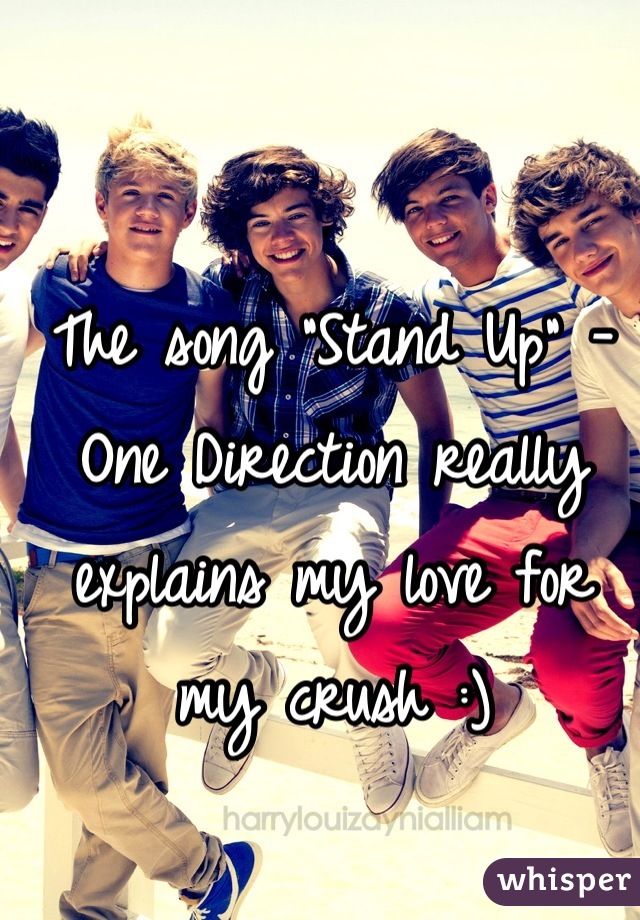The song "Stand Up" - One Direction really explains my love for my crush :)