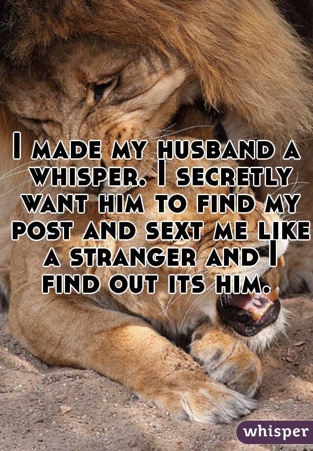 I made my husband a whisper. I secretly want him to find my post and sext me like a stranger and I find out its him.  