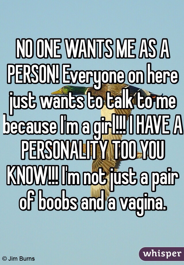NO ONE WANTS ME AS A PERSON! Everyone on here just wants to talk to me because I'm a girl!!! I HAVE A PERSONALITY TOO YOU KNOW!!! I'm not just a pair of boobs and a vagina. 