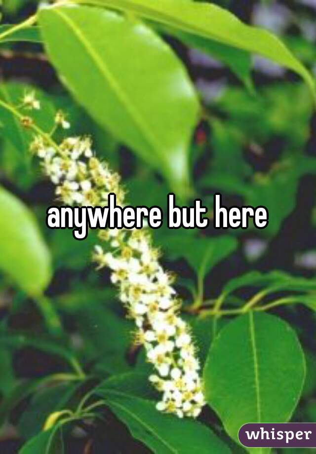 anywhere but here