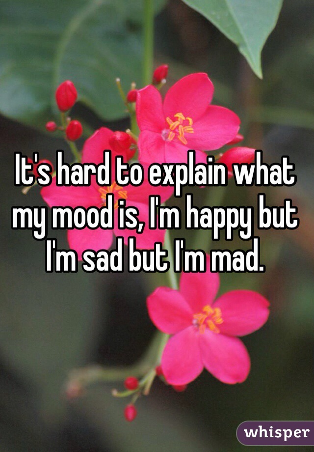 It's hard to explain what my mood is, I'm happy but I'm sad but I'm mad. 