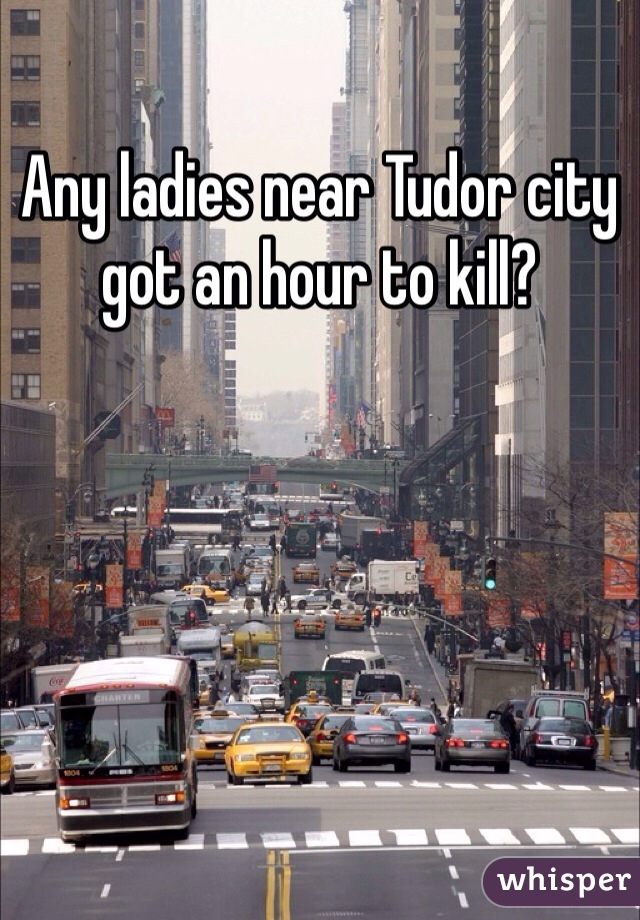 Any ladies near Tudor city got an hour to kill?