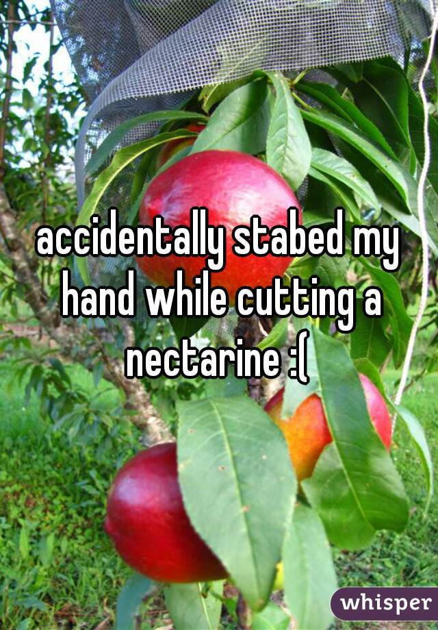 accidentally stabed my hand while cutting a nectarine :( 