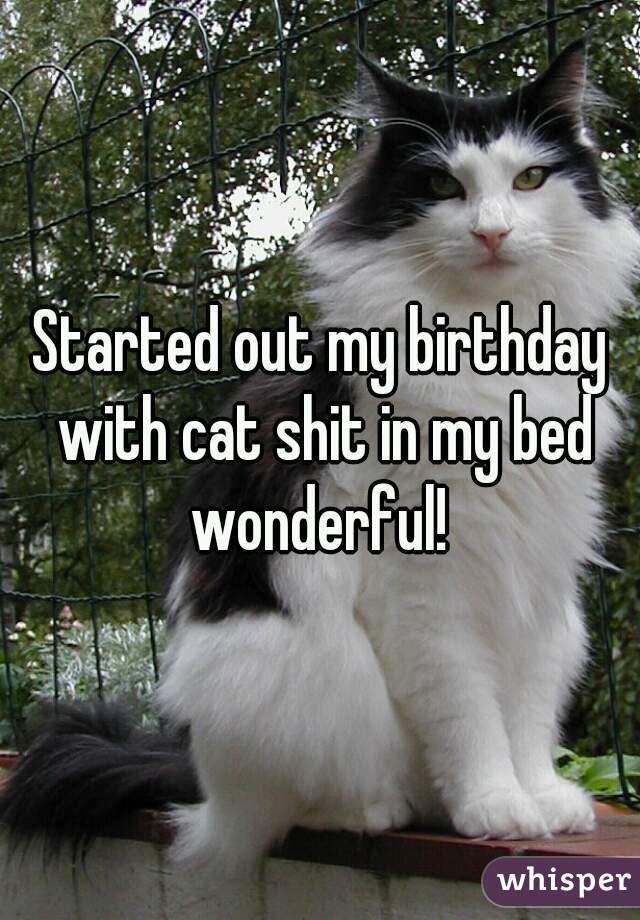 Started out my birthday with cat shit in my bed wonderful! 
