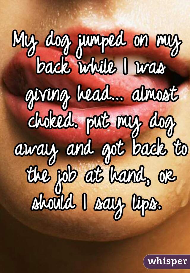 My dog jumped on my back while I was giving head... almost choked. put my dog away and got back to the job at hand, or should I say lips. 