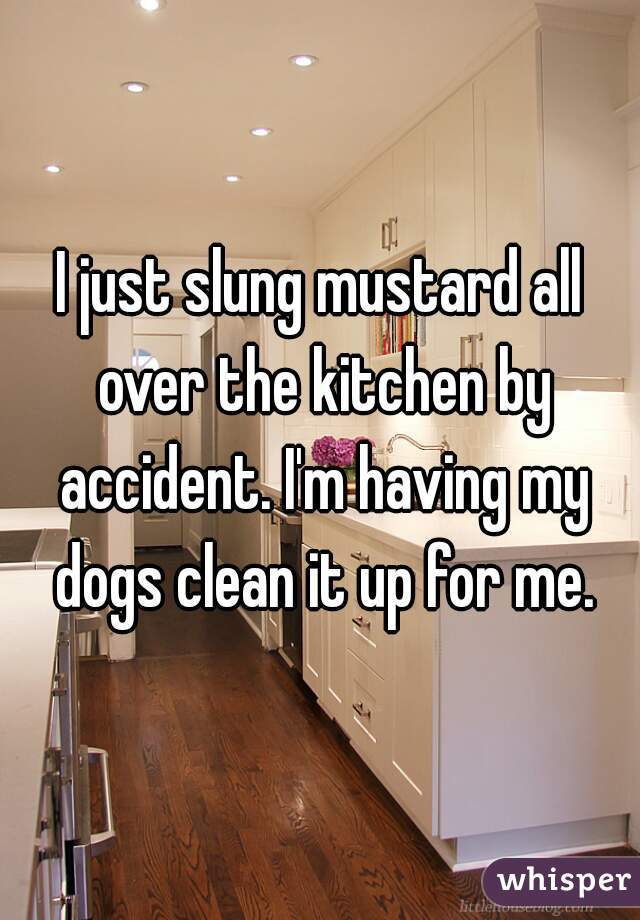 I just slung mustard all over the kitchen by accident. I'm having my dogs clean it up for me.