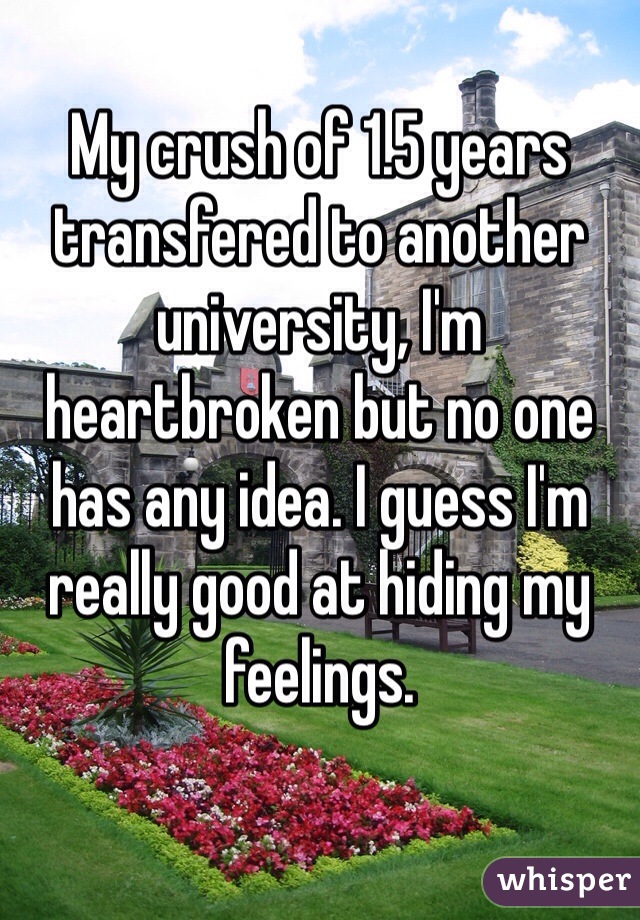My crush of 1.5 years transfered to another university, I'm heartbroken but no one has any idea. I guess I'm really good at hiding my feelings.