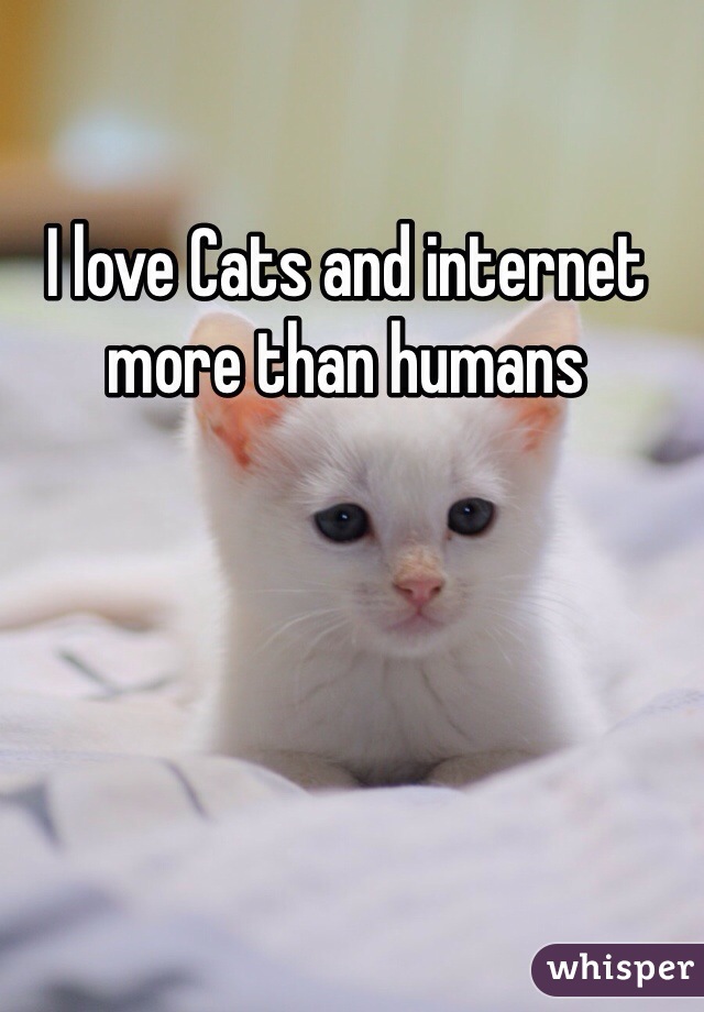 I love Cats and internet more than humans
