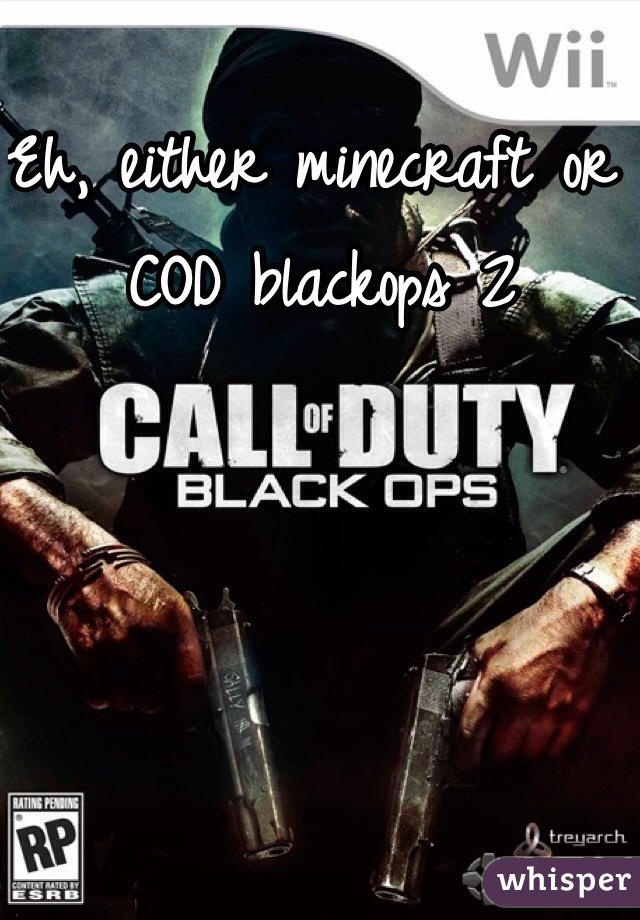 Eh, either minecraft or COD blackops 2