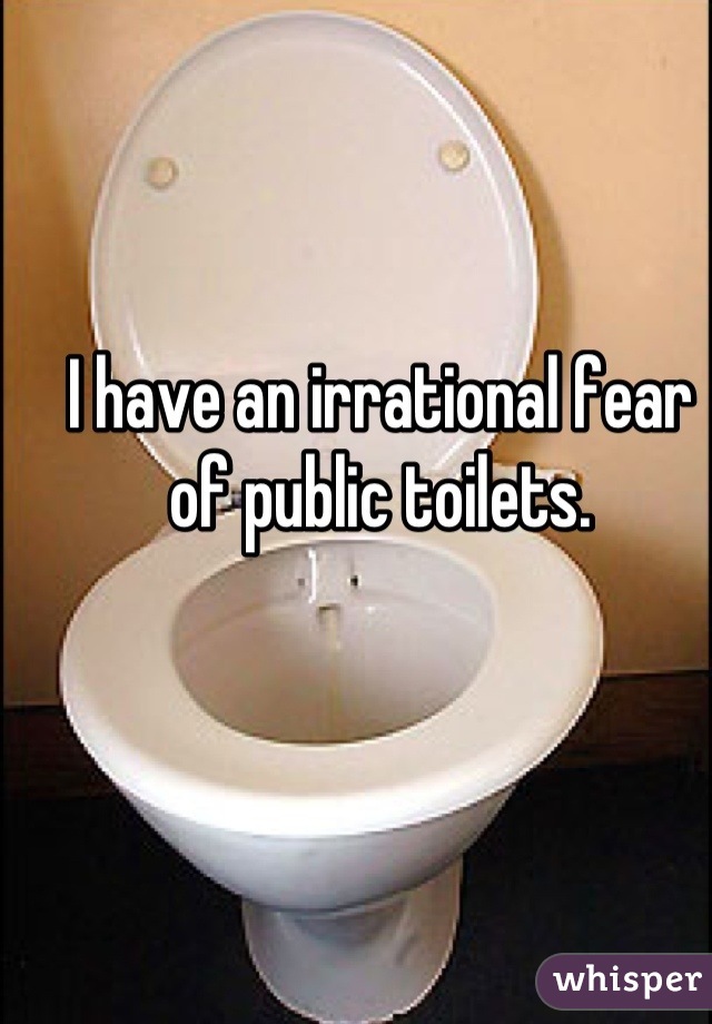 I have an irrational fear of public toilets.