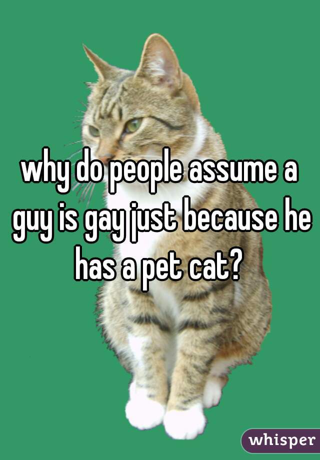 why do people assume a guy is gay just because he has a pet cat? 