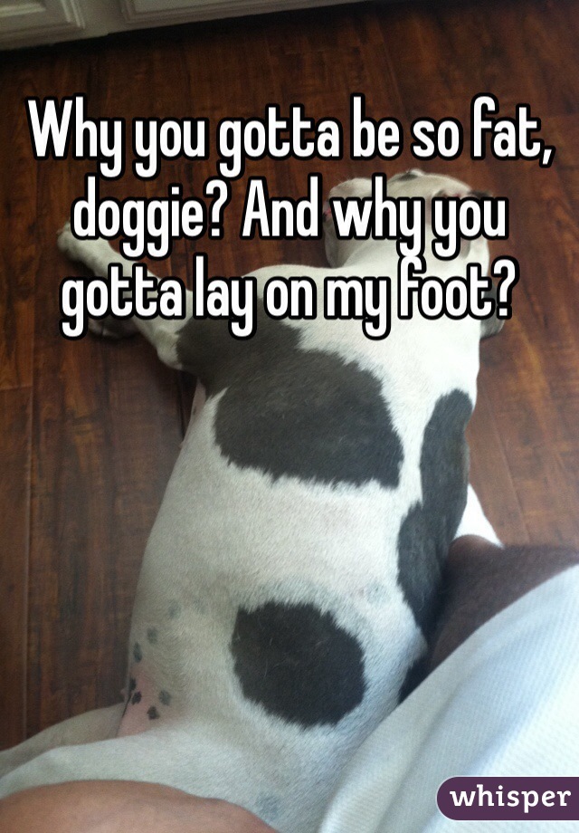 Why you gotta be so fat, doggie? And why you gotta lay on my foot? 