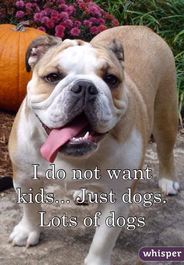 I do not want kids... Just dogs. Lots of dogs