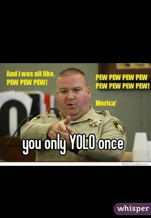 you only YOLO once