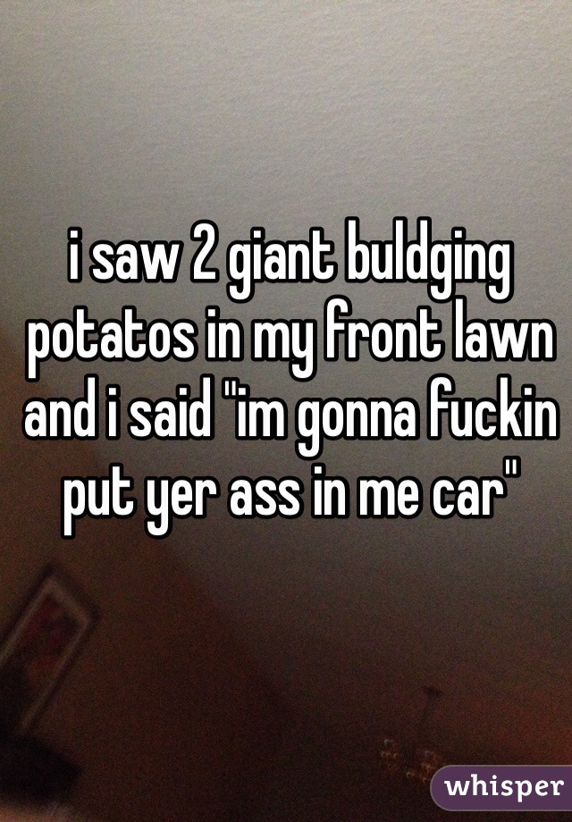 i saw 2 giant buldging potatos in my front lawn and i said "im gonna fuckin put yer ass in me car"