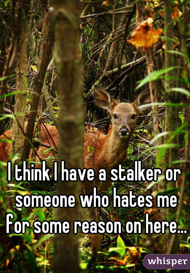 I think I have a stalker or someone who hates me for some reason on here...