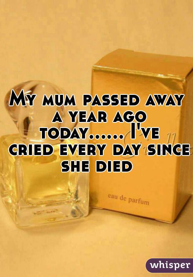 My mum passed away a year ago today...... I've cried every day since she died 