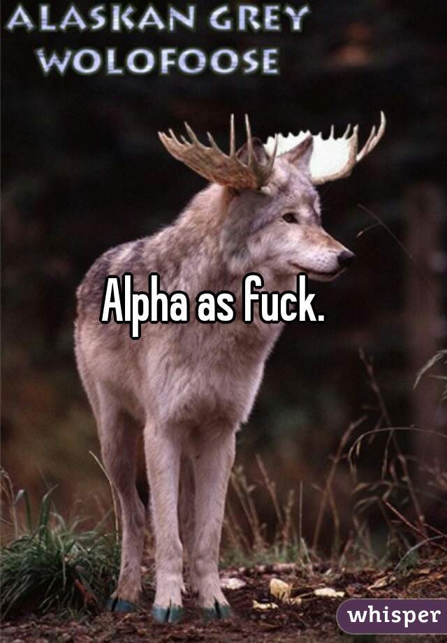 Alpha as fuck.  