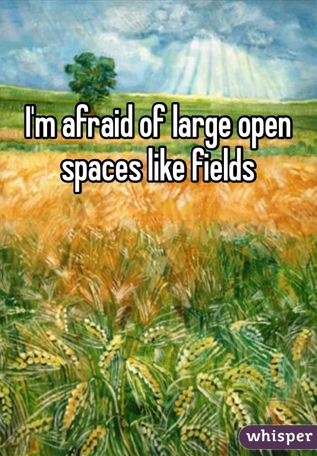 I'm afraid of large open spaces like fields 