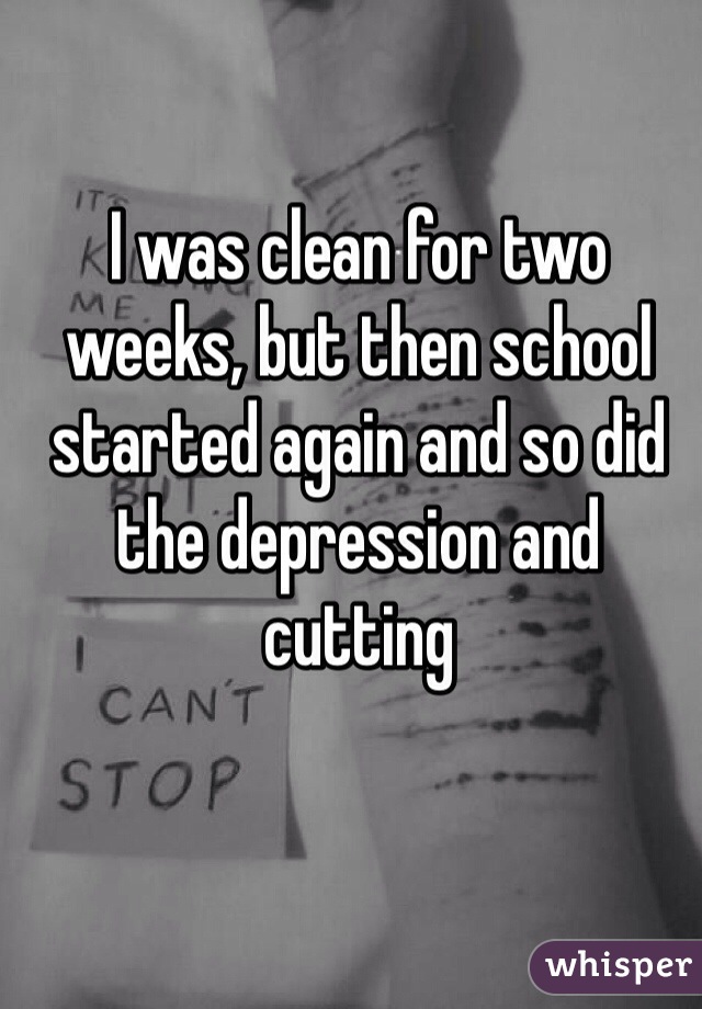 I was clean for two weeks, but then school started again and so did the depression and cutting