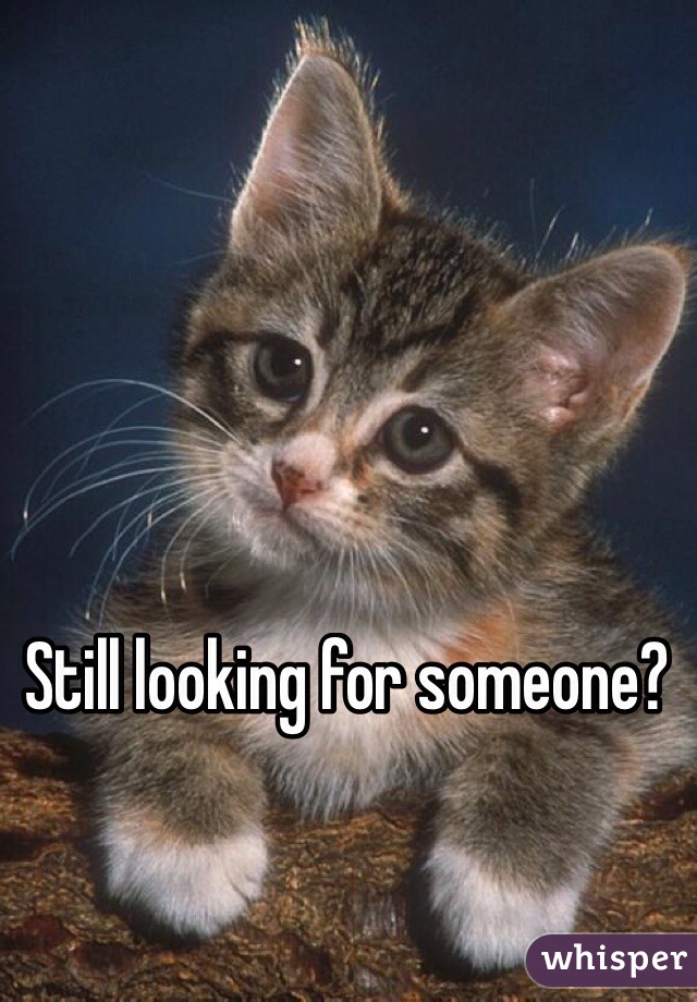 Still looking for someone?