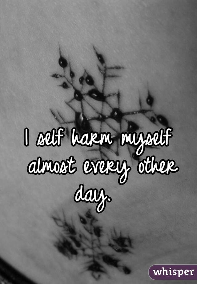 I self harm myself almost every other day.  