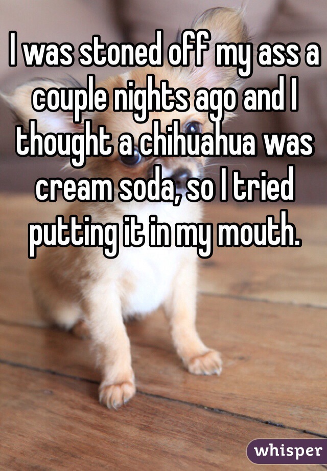 I was stoned off my ass a couple nights ago and I thought a chihuahua was cream soda, so I tried putting it in my mouth.
