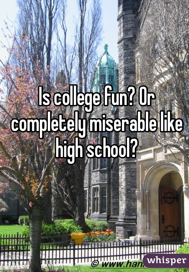 Is college fun? Or completely miserable like high school?