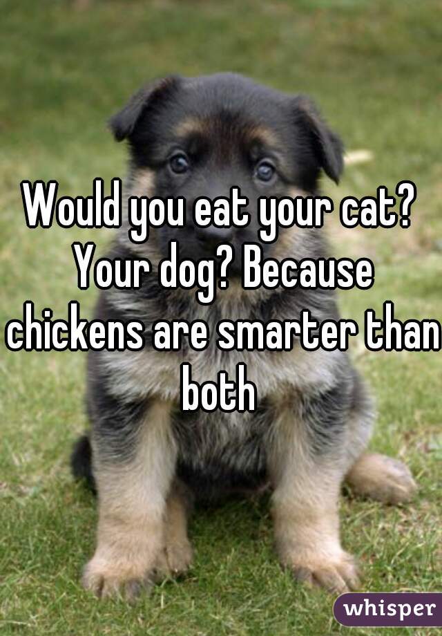 Would you eat your cat? Your dog? Because chickens are smarter than both 