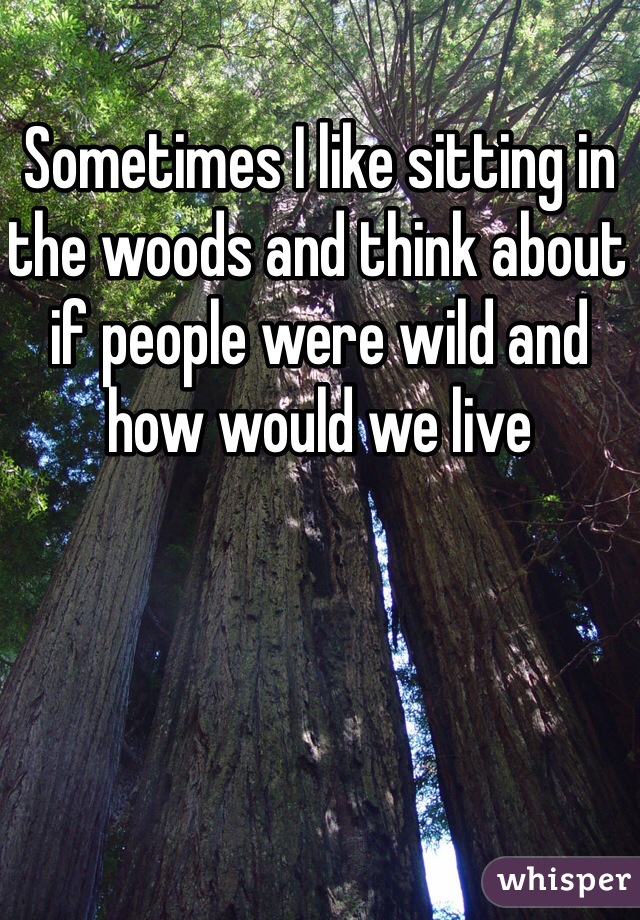 Sometimes I like sitting in the woods and think about if people were wild and how would we live
