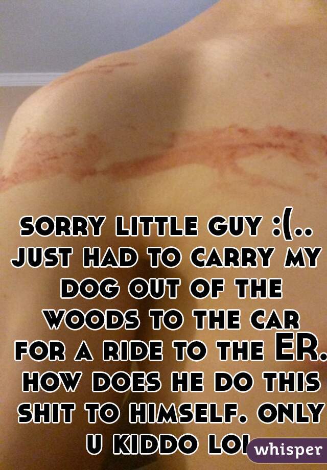 sorry little guy :(..
just had to carry my dog out of the woods to the car for a ride to the ER. how does he do this shit to himself. only u kiddo lol