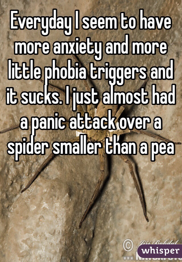 Everyday I seem to have more anxiety and more little phobia triggers and it sucks. I just almost had a panic attack over a spider smaller than a pea 