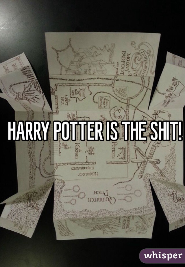 HARRY POTTER IS THE SHIT!