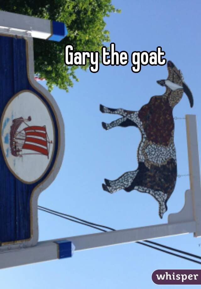 Gary the goat