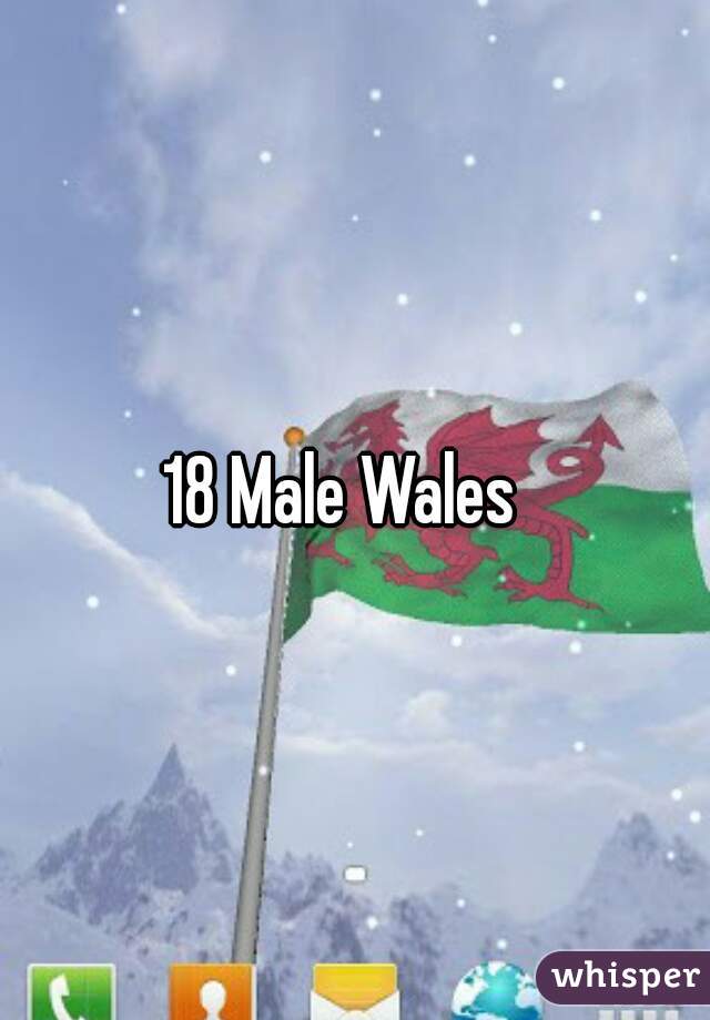 18 Male Wales  