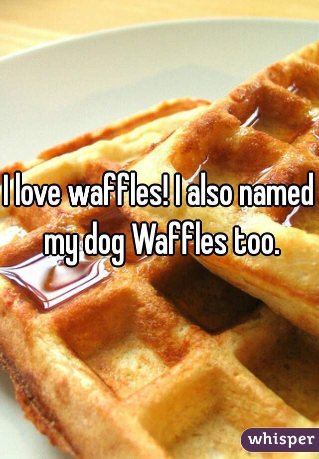 I love waffles! I also named my dog Waffles too.