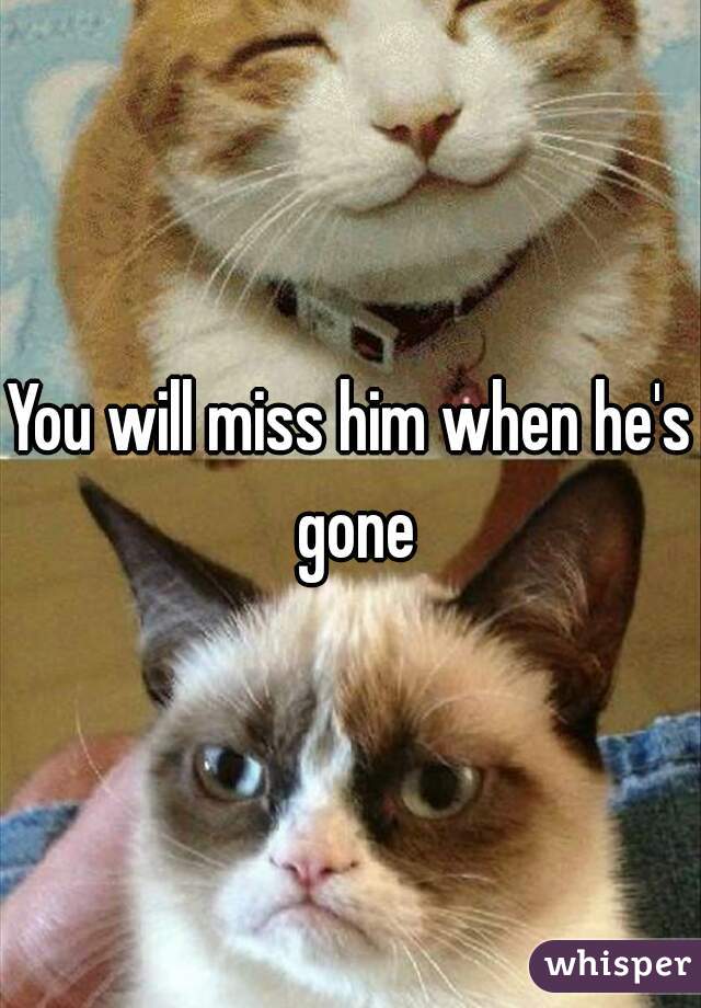 You will miss him when he's gone