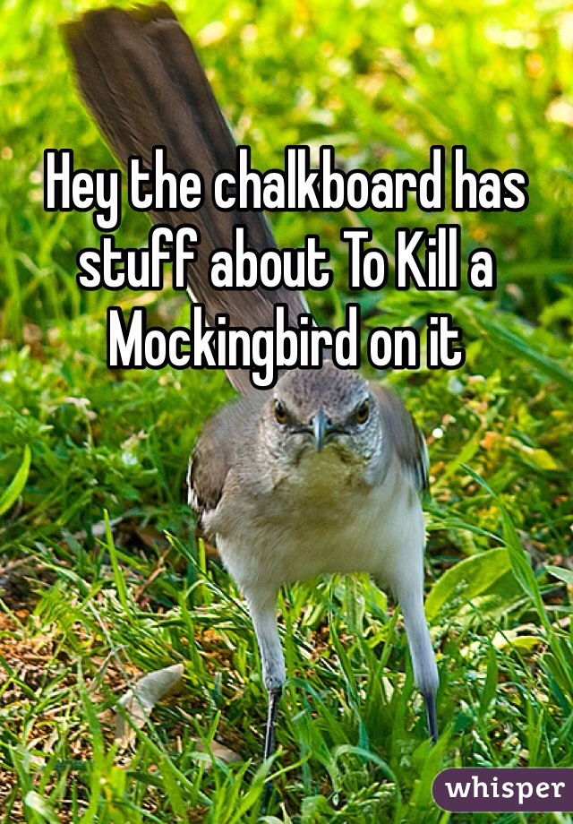 Hey the chalkboard has stuff about To Kill a Mockingbird on it 