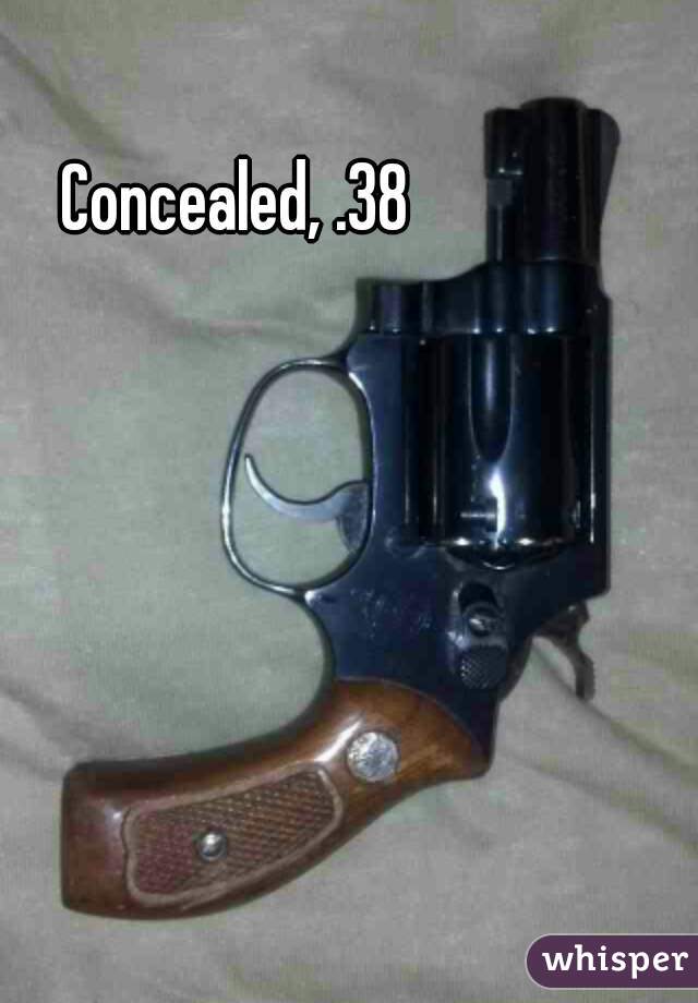 Concealed, .38