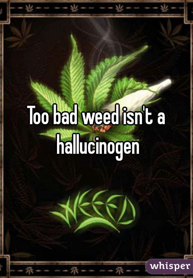 Too bad weed isn't a hallucinogen