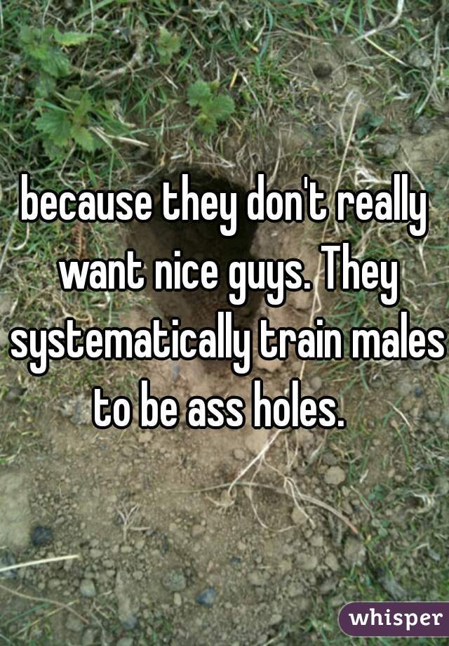 because they don't really want nice guys. They systematically train males to be ass holes.  