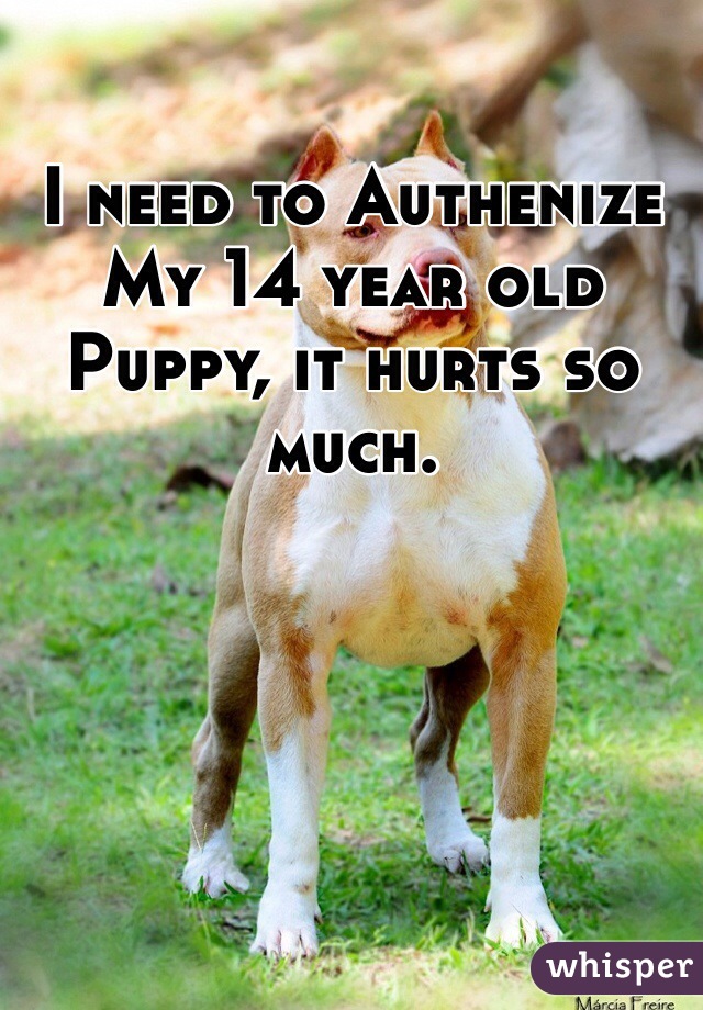 I need to Authenize My 14 year old Puppy, it hurts so much.