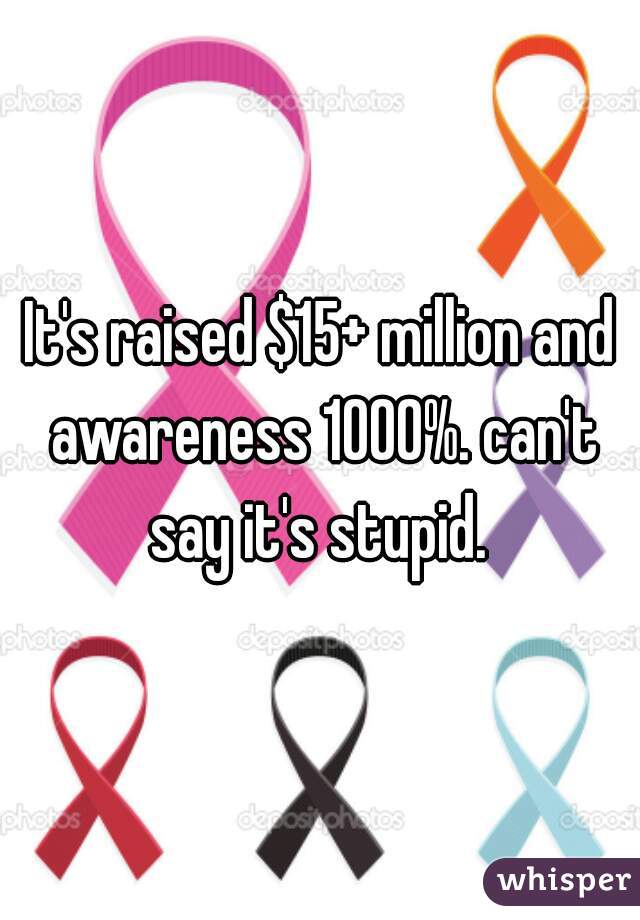 It's raised $15+ million and awareness 1000%. can't say it's stupid. 