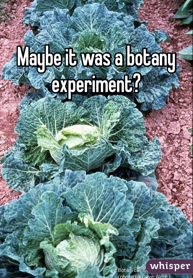 Maybe it was a botany experiment?