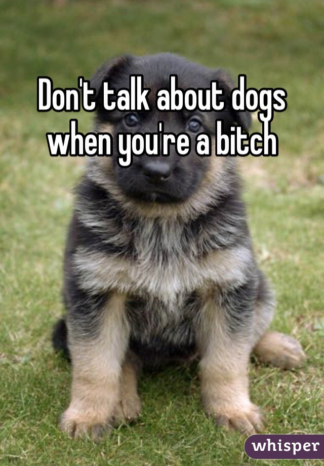 Don't talk about dogs when you're a bitch