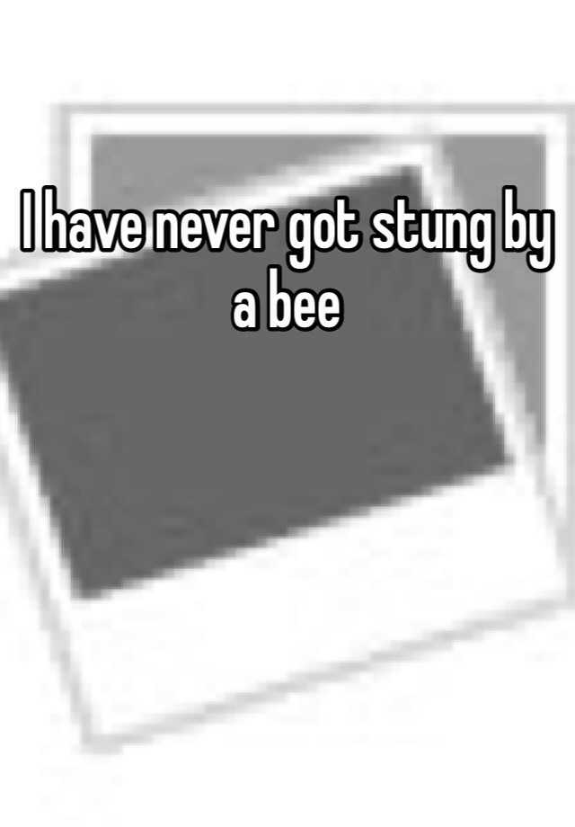 i-have-never-got-stung-by-a-bee