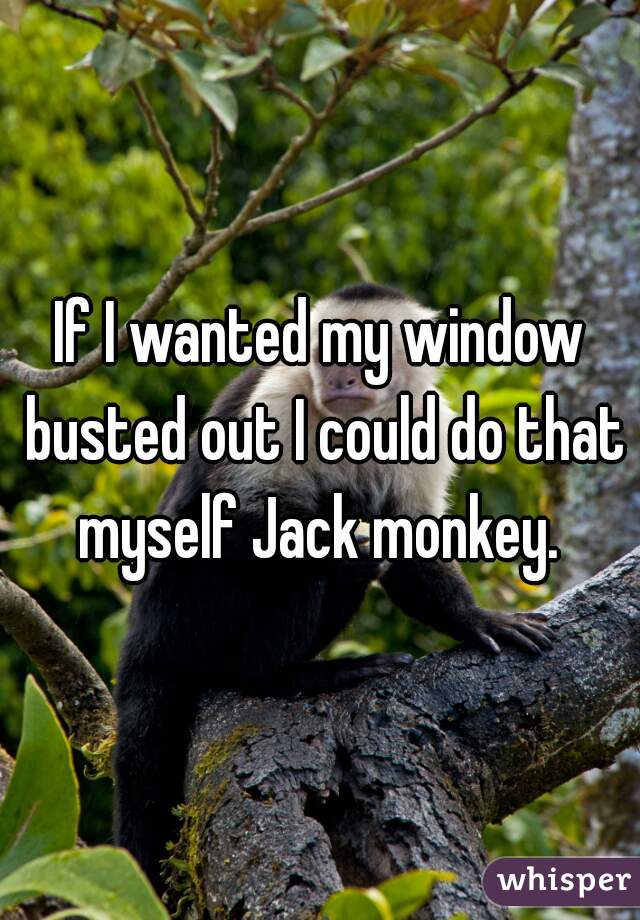 If I wanted my window busted out I could do that myself Jack monkey. 